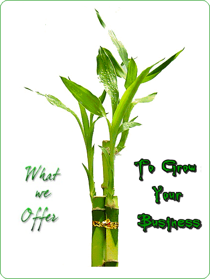 How to Increase Productivity?